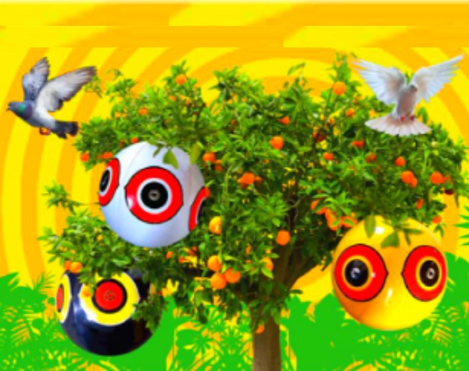 כדורי עיניים להברחת יונים | גרין פלייס