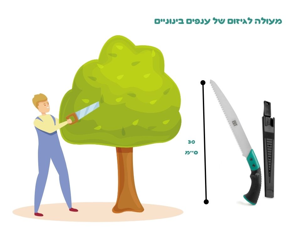 מסור ישר | 30 ס''מ | MS01