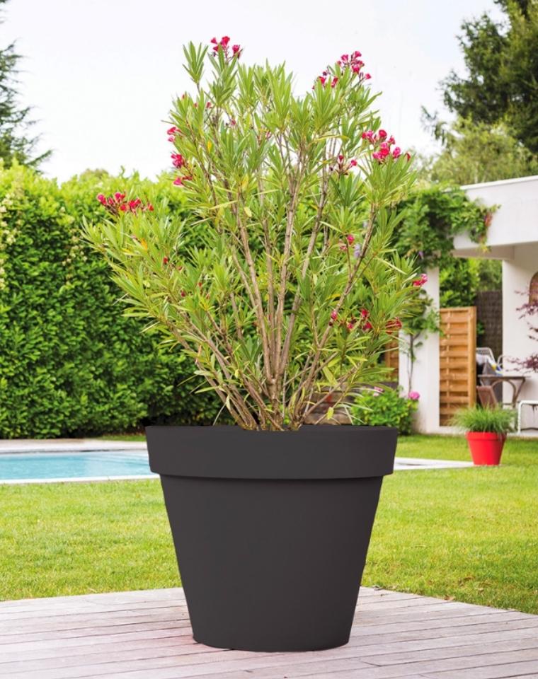 מיכל שתילה TUSCAN | קוטר 80 ס"מ | 170 ליטר | אפור כהה