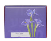 מארז פקעות | אירוס הולנדי סגול | 50 פקעות