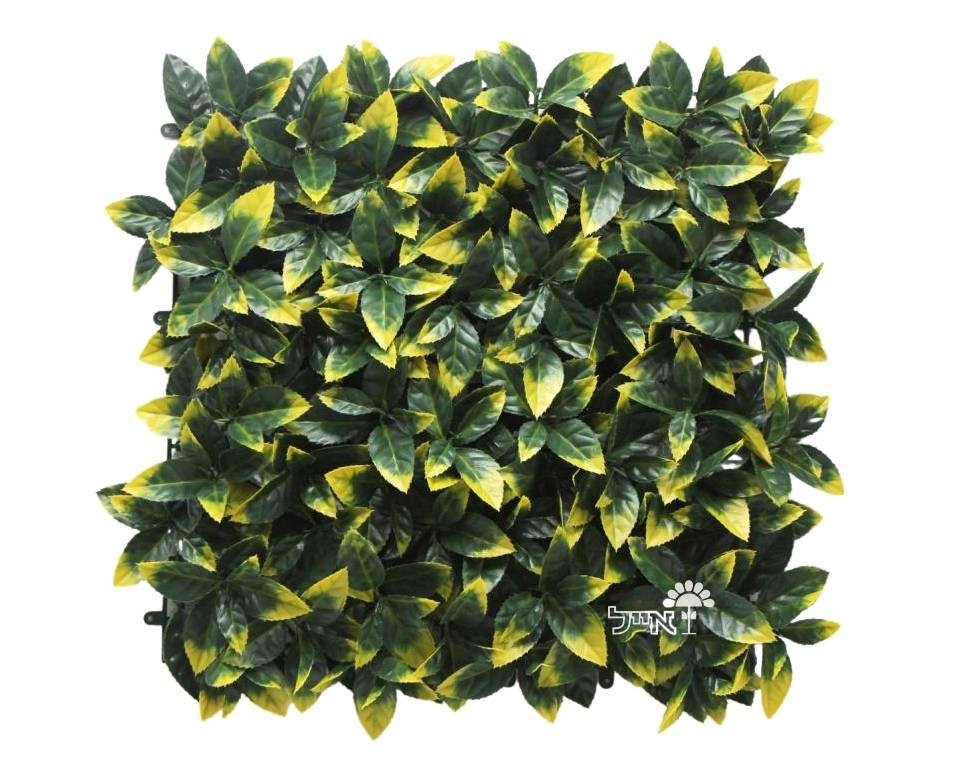 קיר ירוק מתכוונן - קצוות צהובים| 50/50 ס״מ