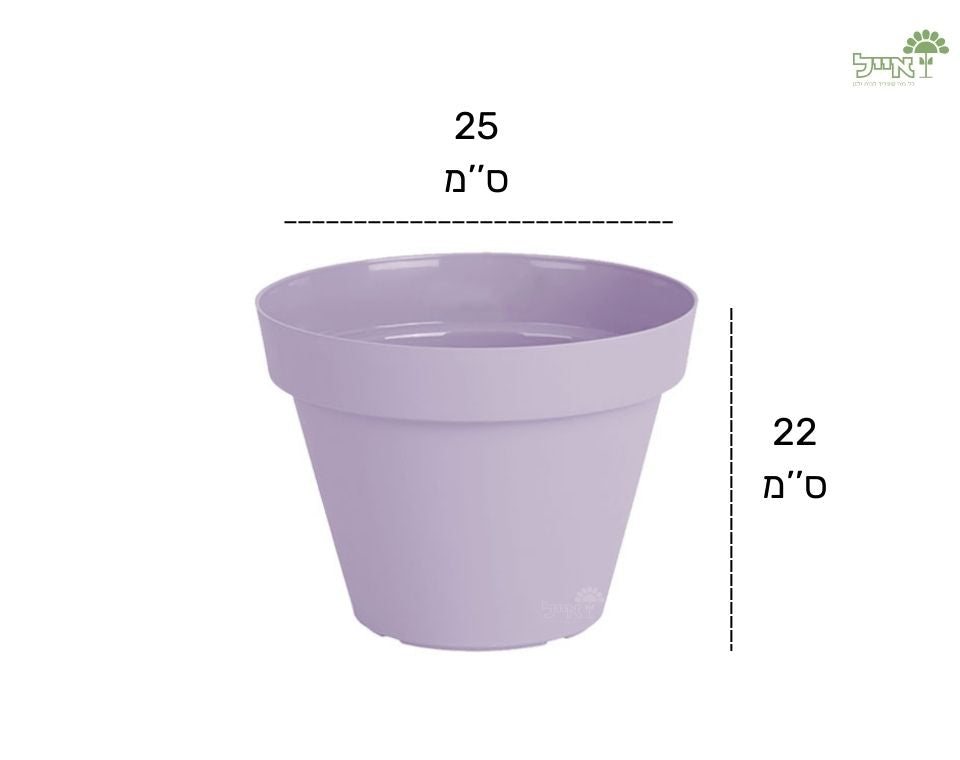 עציץ אביב | סגול לילך | קוטר 25 ס"מ