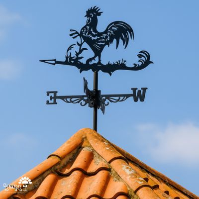 שבשבת רוחות עם דמות תרנגול מברזל | שחור - משתלת אייל