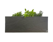 אדנית קטנה דמוי אבן | 3 צמחים לבחירה | 59X19.5X22.8 | אפור בהיר