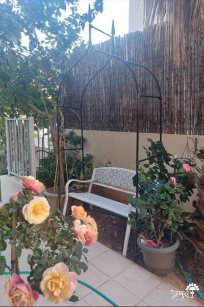 קשת ברזל גותית לטיפוס צמחים | דגם 7730 | 295X140 | שחור