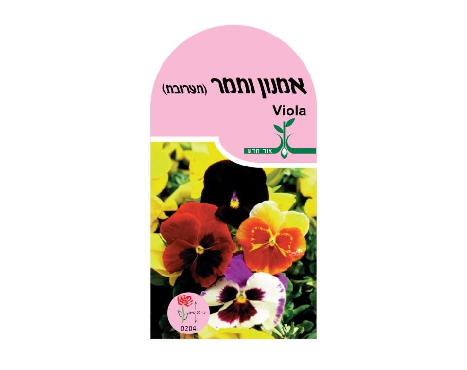 תערובת אמנון ותמר | כ-70 זרעים