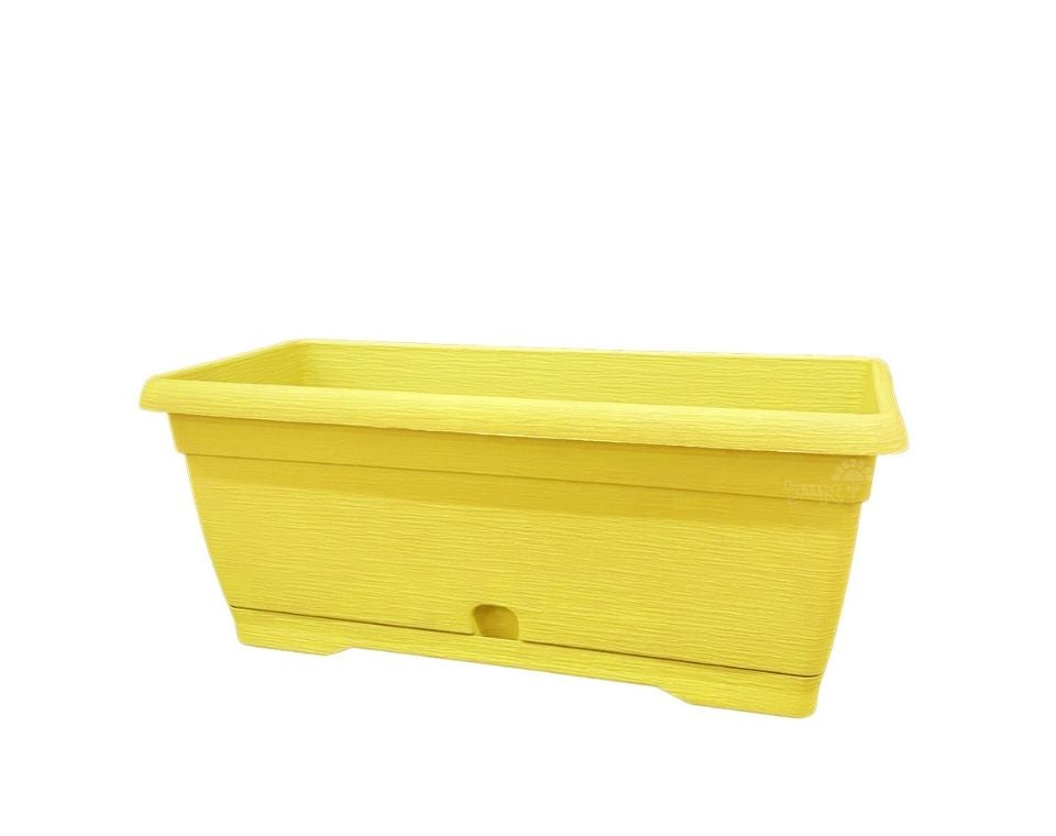 אדנית צבר | צהוב | 40 ס״מ