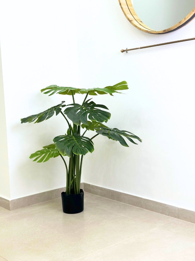 עציץ מלאכותי מונסטרה בינוני | גובה 170 ס"מ