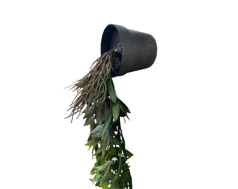 צמח מלאכותי נשפך | 65 ס"מ