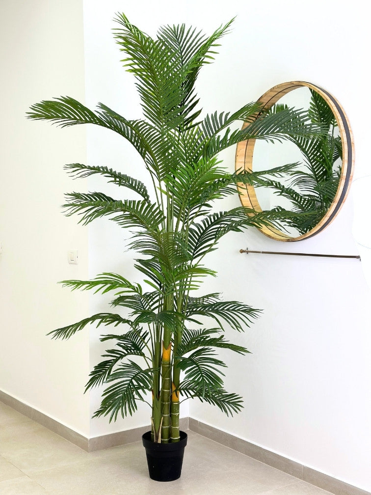 עץ דקל מלאכותי | גובה 2.25 מטר