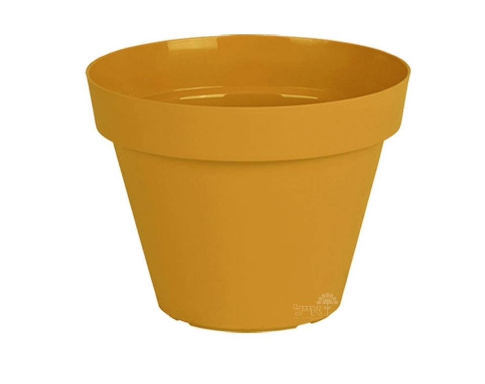 עציץ אביב | חרדל | קוטר 35 ס"מ