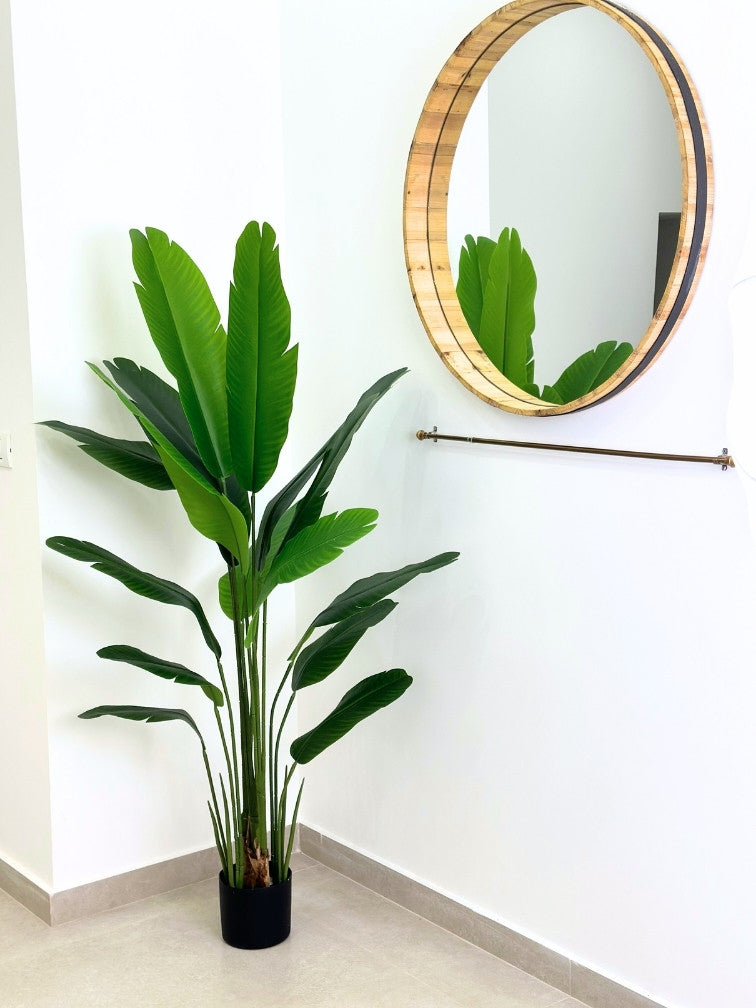 עציץ מלאכותי ציפור גן עדן | גובה 165 ס"מ