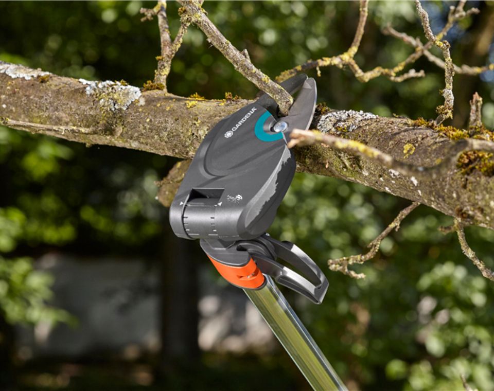 מזמרת גובה | גובה 160-350 ס"מ | דגם SratCat 160 plus