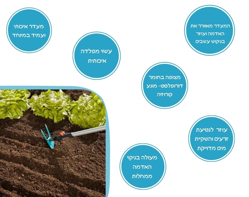 מעדר לב דו שיני