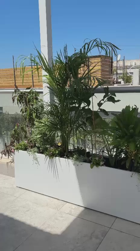טען וידאו: מרפסת בסגנון טרופי מודרני | אדניות וכדי רוטו גבוהים בצבע לבן | רעננה
