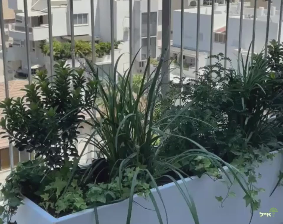 טען וידאו: מרפסת בסגנון אורבני מודרני | אדניות וכדי אלומיניום בעיצוב אישי | רחובות