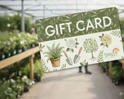 Gift card - גיפט קארד