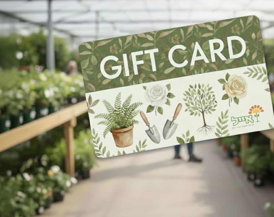 Gift card - גיפט קארד